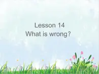 接力版小学英语三年级下册 Lesson14 What is wrong？课件