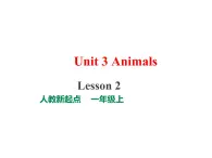 一年级人教版（新起点）英语上册Unit 3 Animals  lesson2  课件