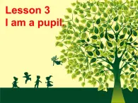 lesson 3 i am a pupil 课件