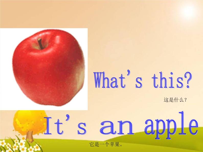 lesson 7  it's an apple 课件02