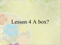 lesson 4 a box 课件