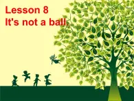 lesson 8 it's not a ball 课件