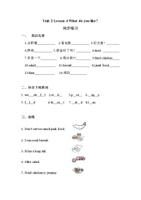 小学英语川教版四年级下册Lesson 4 What do you like?课时训练