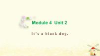 小学英语外研版 (三年级起点)三年级上册Unit 2 It's a black dog.教学课件ppt