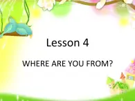 四年级下册英语课件-lesson 4 where are you from 课件2｜科普版（三起）(共18张ppt)