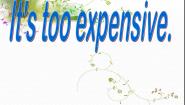 英语四年级上册unit 3 It is too expensive授课ppt课件