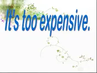 北師大版 (一年級(jí)起點(diǎn))四年級(jí)英語上冊(cè)Unit 3 It's too expensive 課件