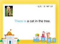 外研版（一起）英语一年级下册课件 Module 7《Unit 1 There is a cat in the tree》