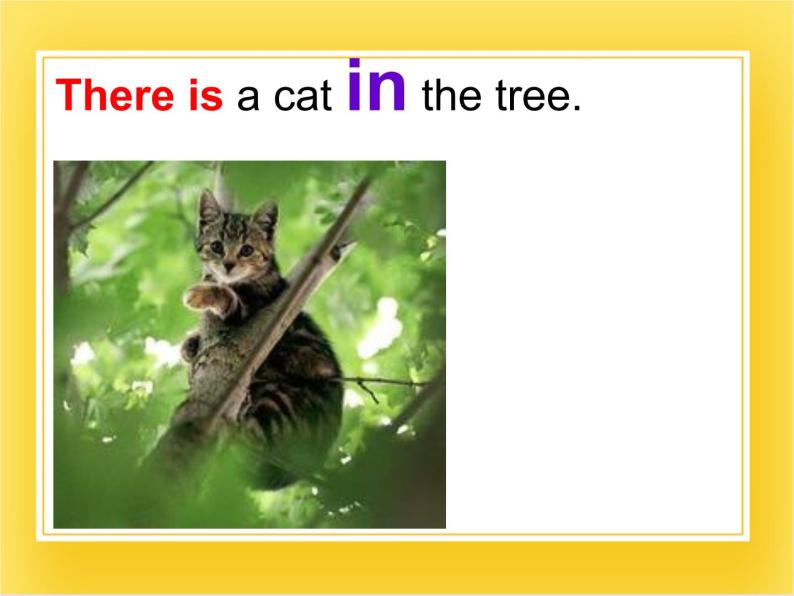 外研版（一起）英语一年级下册课件 Module 7《Unit 1 There is a cat in the tree》05