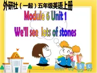 外研版（一起）英语五年级下册课件 《Module6Unit 1 We’ ll see lots of very big stones.》