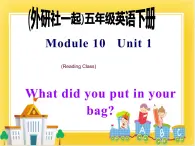 外研版（一起）英语五年级下册课件 《Module10Unit 1 What did you put in your bag 》