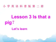 Lesson3 第1课时课件