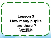 Lesson3 第2课时 课件