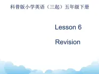 Lesson6 第1课时 课件