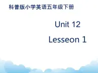 Lesson12 第1课时 课件