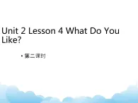 Unit 2 Lesson 4第2课时课件