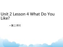 2020-2021学年Lesson 4 What do you like?获奖ppt课件