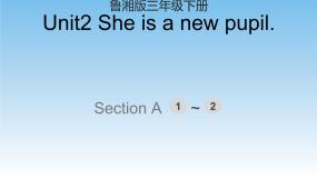 小学英语湘鲁版三年级下册Section A完美版ppt课件