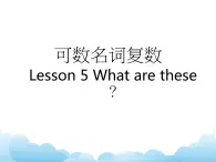 科普版英语四年级下册Lesson5 第3课时 课件