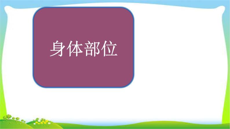 小升初英语总复习身体部位完美课件PPT01