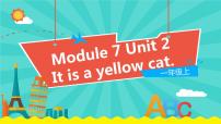 小学外研版 (一年级起点)Unit 2 It's a yellow cat教学课件ppt