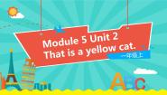 小学外研版 (一年级起点)Unit 2 This is a yellow cat教学ppt课件