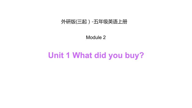 Module 2 Unit 1 What did you buy课件PPT01