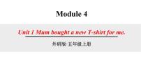 英语五年级上册Unit 1 Mum bought a new T-shirt for me.示范课ppt课件