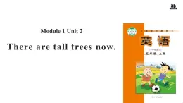 Module 1 Unit 2 There are tall trees now课件PPT