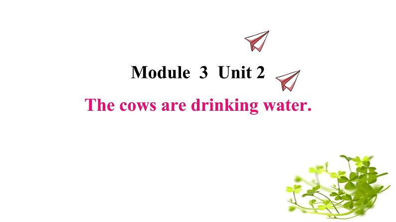 Module 3 Unit 2 The cows are drinking water课件PPT01