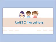 Unit 3 I like carrots  第一課時(shí) 課件+教案
