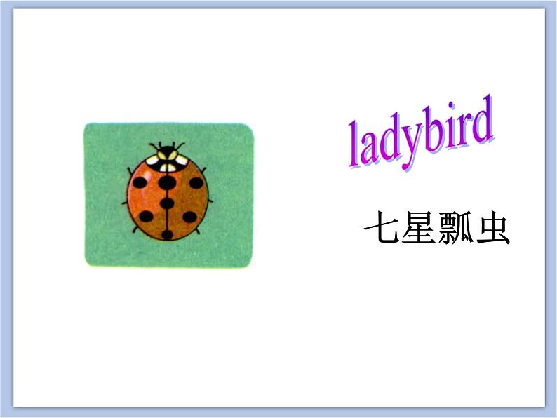 Unit 5 What 's this 课件 2第3页