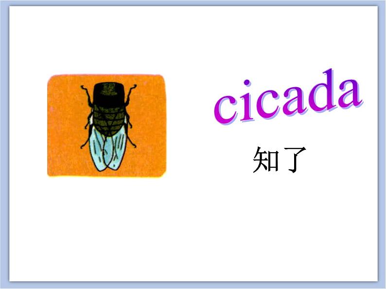 Unit 5 What 's this 课件 2第4页