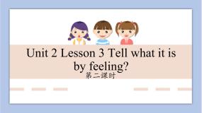 英语川教版Lesson 3 Tell what it is by feeling精品ppt课件