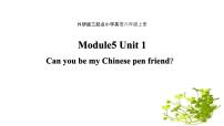 外研版 (三年级起点)六年级上册Unit 1 Can you be my Chinese pen friend?说课ppt课件