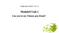 外研版 (三年級(jí)起點(diǎn))六年級(jí)上冊(cè)Unit 1 Can you be my Chinese pen friend?說課ppt課件