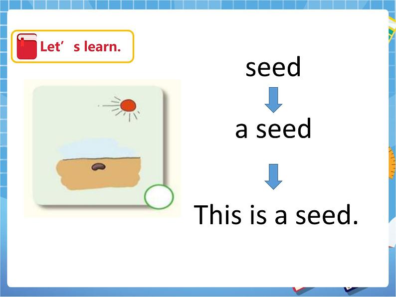 Unit10 My garden 第三课时(课件+教案)05