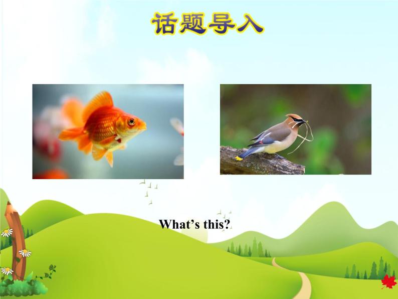 冀教版（三起点）三下 Lesson3 Fish and Birds 课件+教案+素材02
