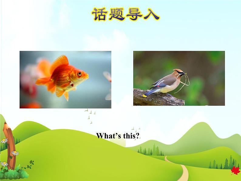 授课课件第2页