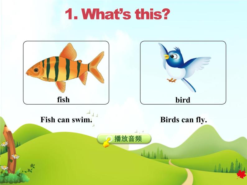 冀教版（三起点）三下 Lesson3 Fish and Birds 课件+教案+素材03