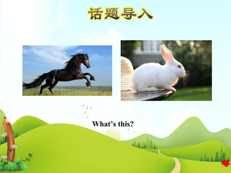冀教版（三起点）三下 Lesson4 Horses and Rabbits 课件+教案+素材02