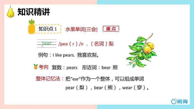 人教pep(新)三下-Unit 5 PartA 第2课时 Let's learn~Let's spell【优质课件】05