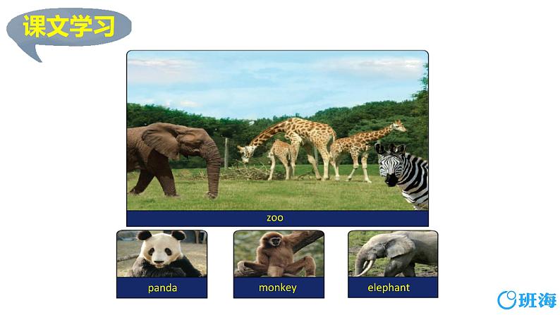 冀教版(新)三下-Unit 2 Lesson 7 At the Zoo.【优质课件】第5页