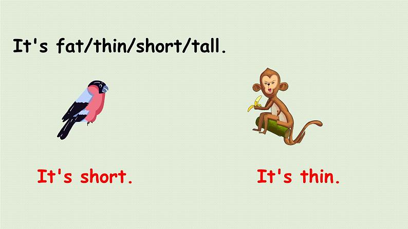 1人教三(下) Unit3 Part B 第5课时Let 's learn & Let 's do第4页