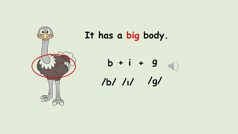 1人教三(下) Unit3 Part B 第5课时Let 's learn & Let 's do第7页