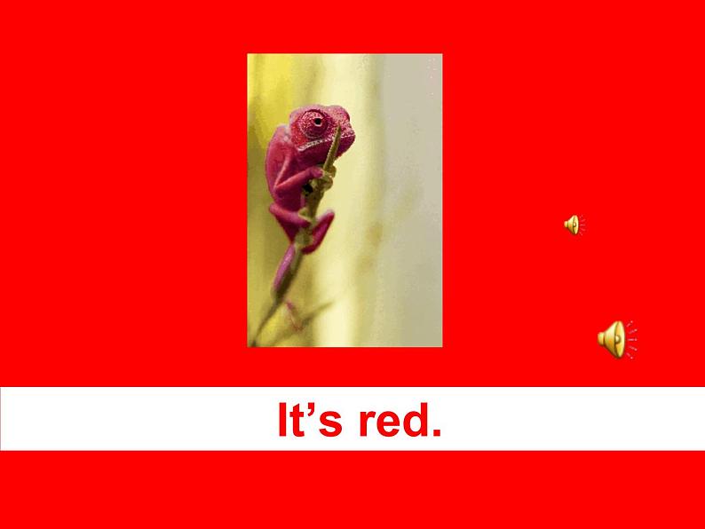 外研版(三起)英语三年级上册Module 4 Unit 1 It 's red 课件第8页