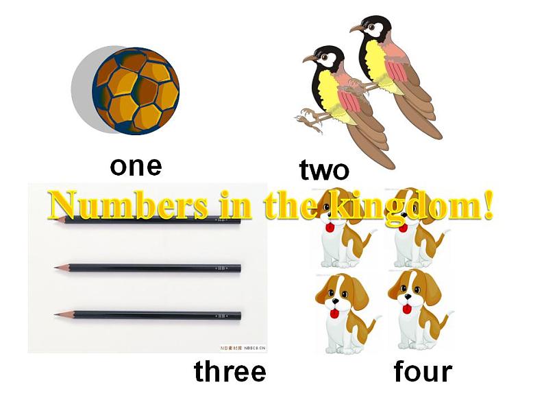 外研版(三起)英语三年级上册Module 5 Unit 1 How many(3) 课件06