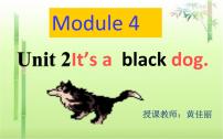 小学英语外研版 (三年级起点)三年级上册Unit 2 It's a black dog.评课ppt课件