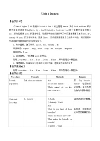 沪教版英语三年级上册（试用版） Module 4 Unit 1 Insects_2（教案）