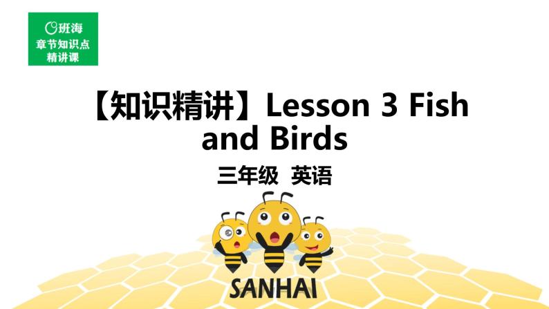 英语三年级【知识精讲】Lesson 3 Fish and Birds课件PPT01